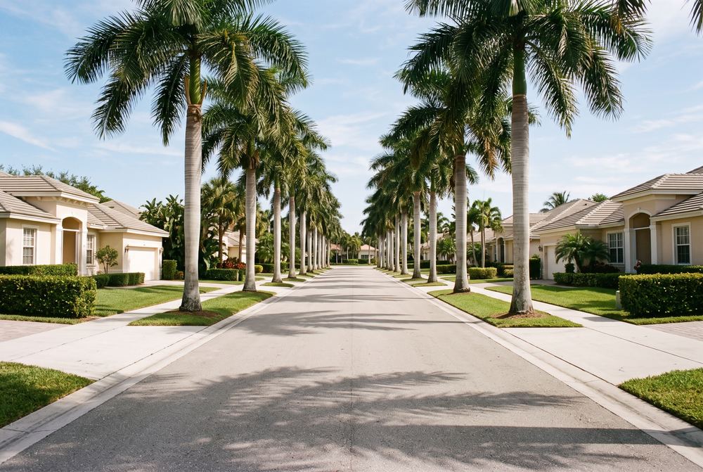 A quiet residential street lined with royal palms in a Florida coastal community
